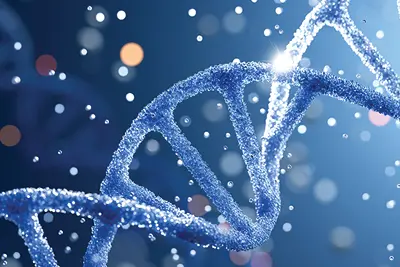 DNA